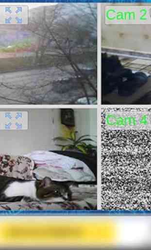 EyeLook IP camera JPEG viewer 1