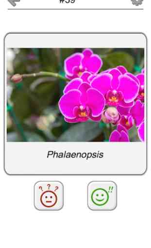 Fiori - Il quiz botanico sulle piante belle 4