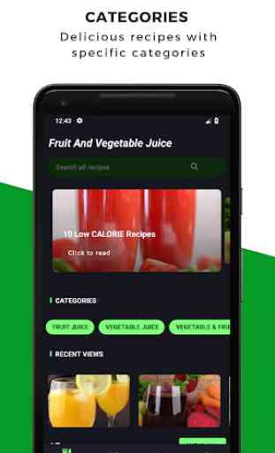 Fruit And Vegetable Healthy Juice Recipes For Free 1