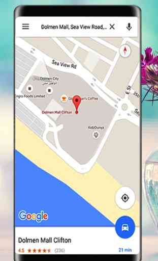 Google Maps - Mappe GPS - Live Earth 1