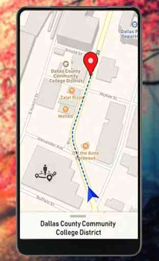 Google Maps - Mappe GPS - Live Earth 3