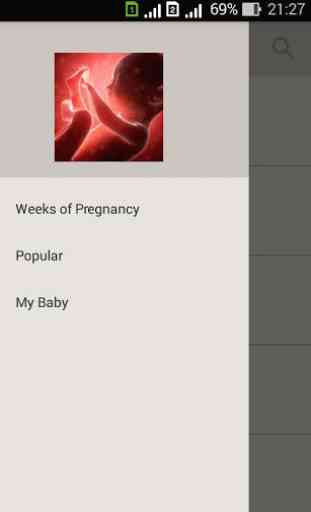Pregnancy week by week. Expecting baby. Diary 1