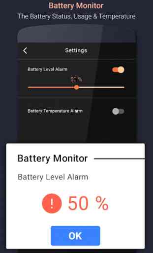 Battery Monitor 4
