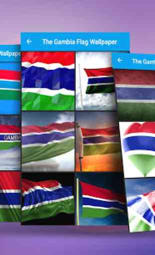Gambia Flag Wallpaper 1