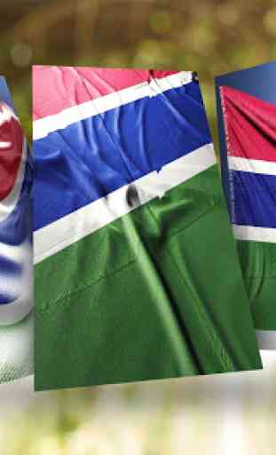 Gambia Flag Wallpaper 2