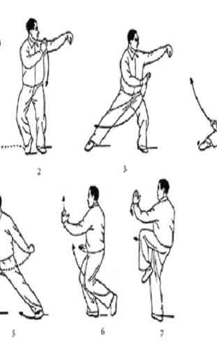 Impara il Kung Fu 2