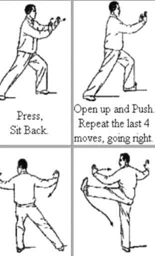 Impara le tecniche del Kung Fu 1