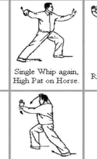 Impara le tecniche del Kung Fu 2