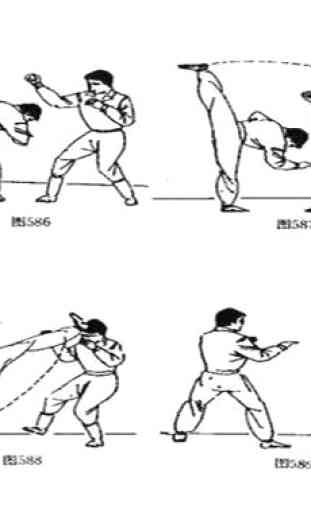Impara le tecniche del Kung Fu 3