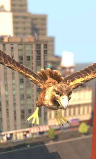 San Andreas Flying Bird 3D 2