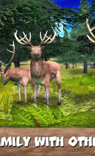 Wild Forest Survival: Animal Simulator 3