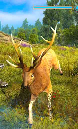 Wolf Simulator Attack 3D: Wolf Games 4