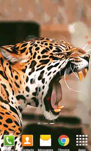 Leopardo Sfondi Animati 1