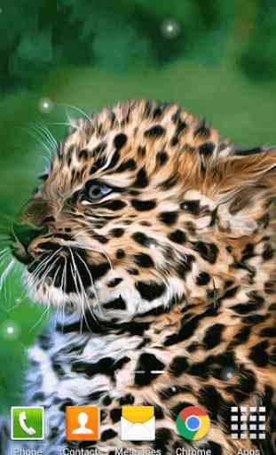 Leopardo Sfondi Animati 3
