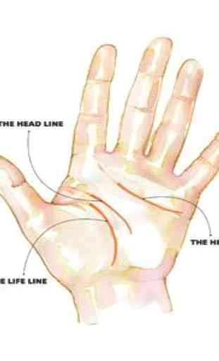 Palm reading  (Guide) 1