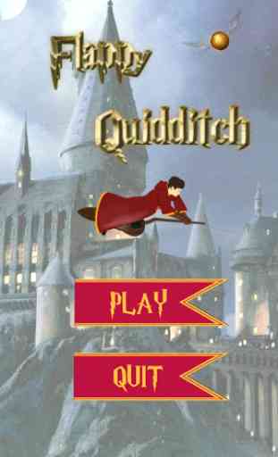 Potter Quidditch 1