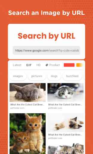 Reverse Image Search - Search by Image 2