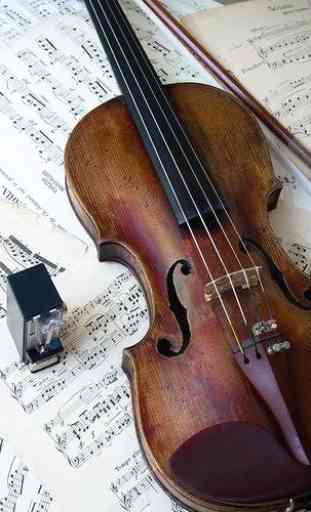 Suonare il violino 3