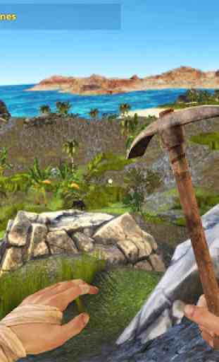 The Survival: Island adventure 3D 1