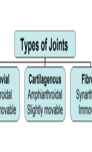 Basics of Orthopaedics 1