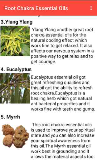 Chakra Essential Oil 4