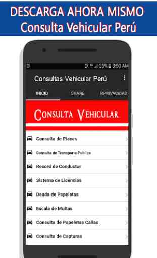 Consulta Vehicular Peru 1