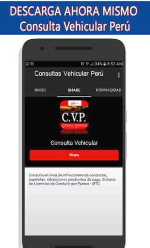 Consulta Vehicular Peru 4