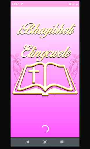 Holy Bible of Woman in Africa in Zulu IBhayibheli 1