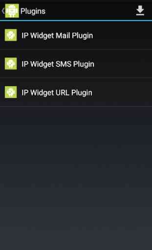 IP Widget URL Plugin 1