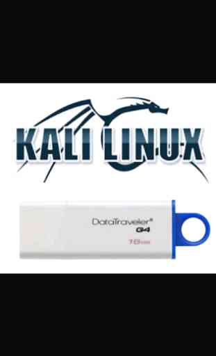 kali linux setup usb bootable 3