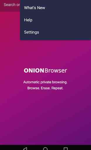Motore di Ricerca Onion: Browser Anonimo e Privato 2