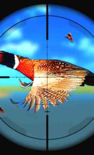 Pheasant Bird Hunting: Wings Sniper Shooting 2018 3