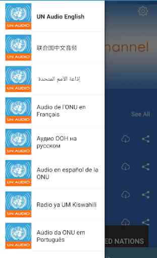UN Audio Channels 3