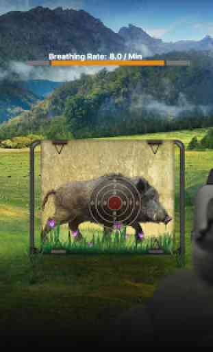 Wild Boar Target Shooting 4