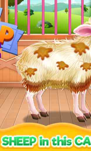 Baby Sheep Care 1