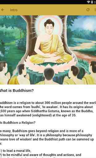 BUDDHA TEACHINGS 3