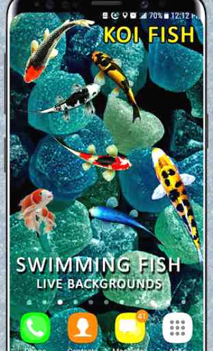 carta da parati di pesce come sfondi pesce fresco 3