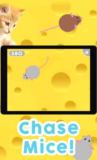 Games for Cats! - Cat Fishing Mouse Chase Cat Game 2