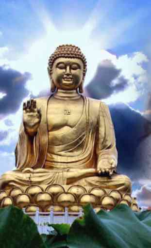 Gautama Buddha Photo Frames 1
