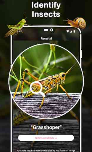 Insect Identifier : Insect ID, AI Photo Camera 1