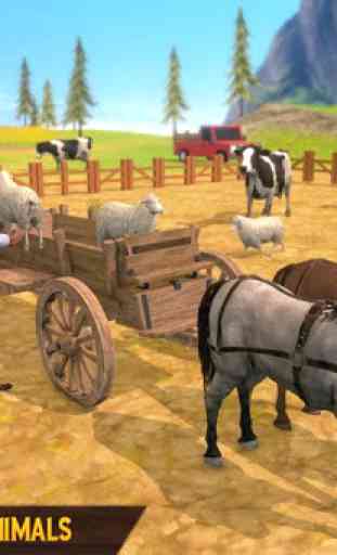 trasporto agricolo di carretti a cavallo 3