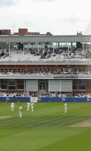 Cricket Ground Photo Frames 4