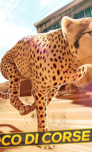 Leopardi contro Leoni! Gioco di Corsa Selvaggio 1