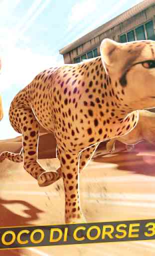 Leopardi contro Leoni! Gioco di Corsa Selvaggio 4