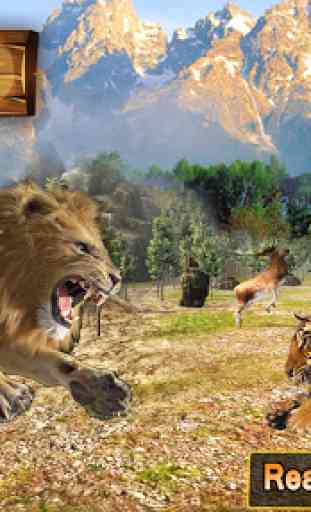 Lion Vs Tiger: Wild Adventure 1