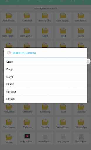 Micro SD File Manager 3