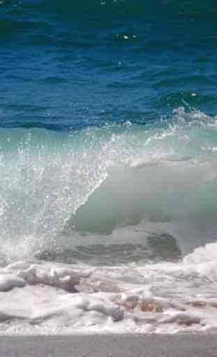 Sfondi di onde surf 4