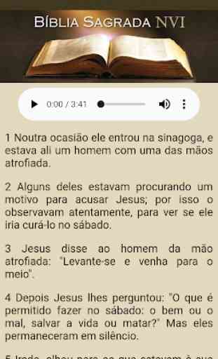 Bíblia Sagrada NVI em Português 2