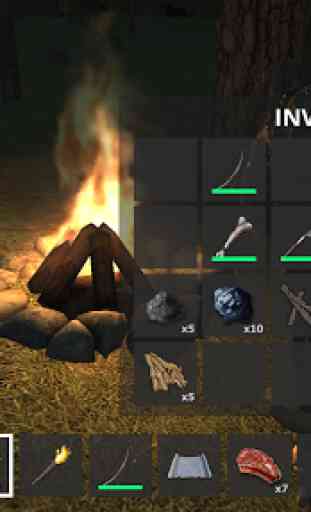 Forest Survival 2