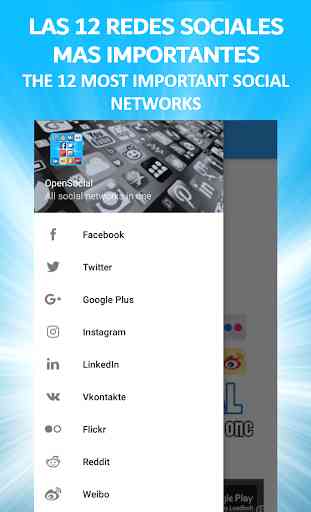 OpenSocial - App con 12 social network 2